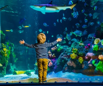 Sea Life Entrance Tickets