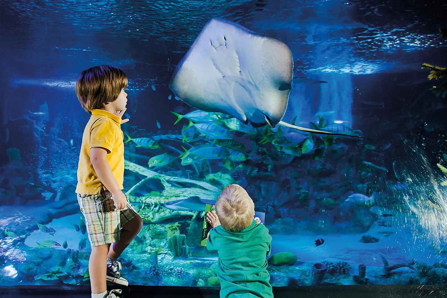 Helsinki: Sea Life Entrance Tickets