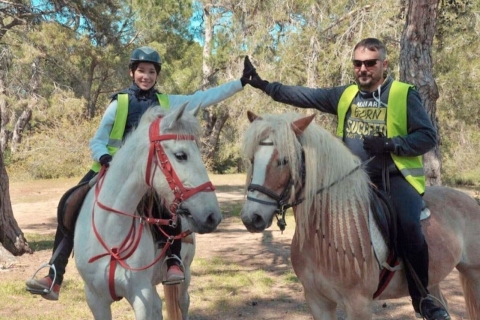 Zijkant: Paardrij-ervaring met instructeurKant: Paardrijden