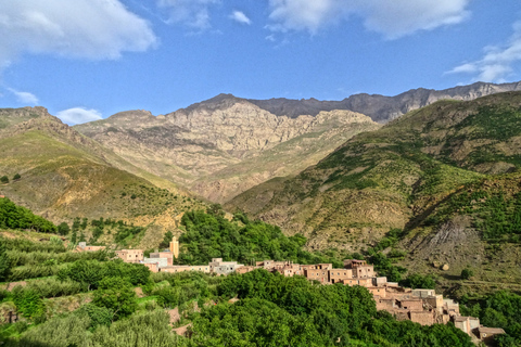 Vanuit Marrakesh: dagtour Atlasgebergte en Toubkal-museumVan Marrakesh: Atlasgebergte & Toubkal Museum Dag Tpur