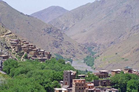 Vanuit Marrakesh: dagtour Atlasgebergte en Toubkal-museumVan Marrakesh: Atlasgebergte & Toubkal Museum Dag Tpur