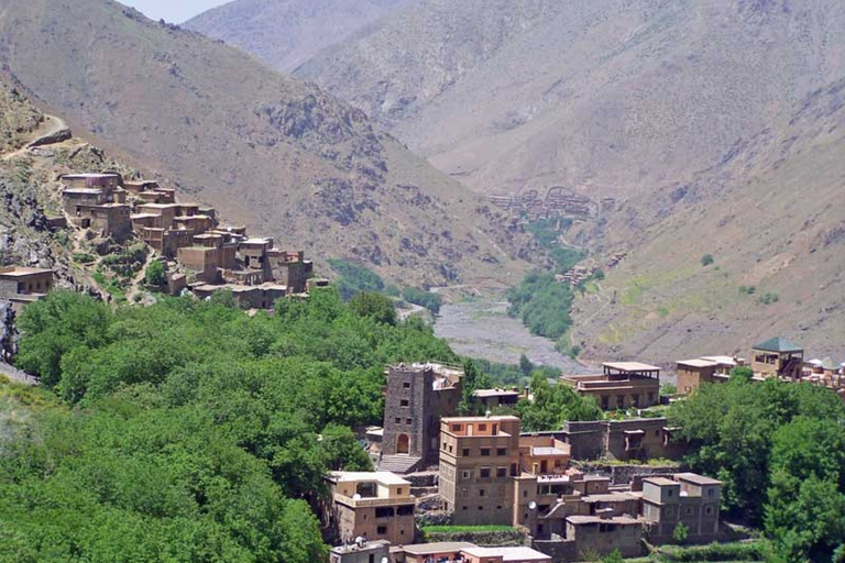 Vanuit Marrakesh: dagtour Atlasgebergte en Toubkal-museumVan Marrakesh: Atlasgebergte & Toubkal Museum Dag Tpur