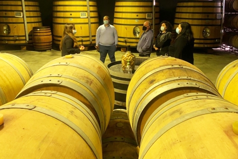 From Porto: A Day in the Douro Valley with Wine Tastings
