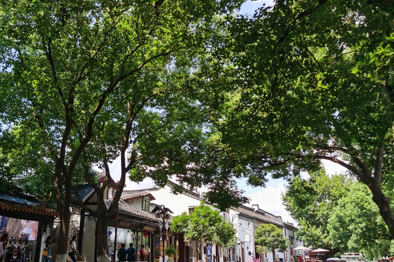 Szanghaj: Zhujiajiao, Xiaolongbao i inne miejscaPrzewodnik mówiący po chińsku / angielsku