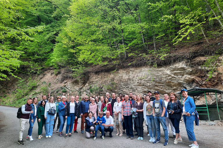 D'Erevan: excursion d'une journée au lac Sevan et à Dilijan