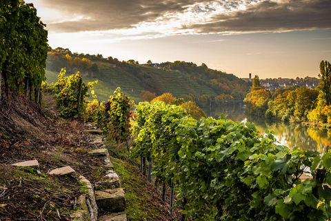 Estugarda: Vin, Fromage et Chansons - Queijo, vinhos e canções de França