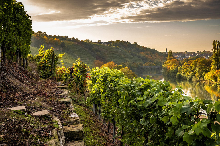 Stuttgart: Vin, Fromage et Chansons - Käse, Weine und Lieder aus Frankreich