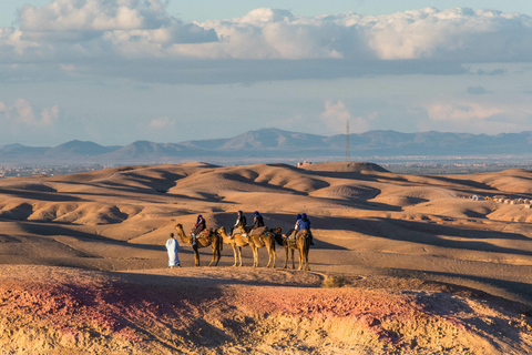 Lunch Agafay desert with camel ride