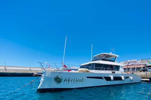 Gran Canaria: Luksuscruise på katamaran med mat og drikke