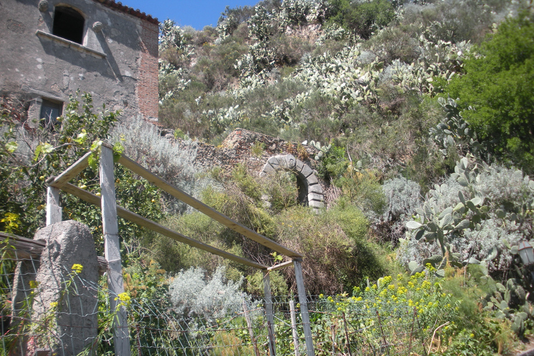 Desde Catania: excursión de un día a la película del padrino en Sicilia