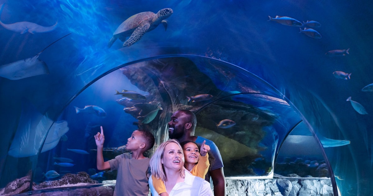 Orlando SEA LIFE Orlando Aquarium GetYourGuide