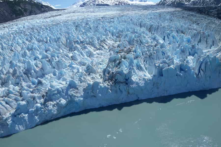 Anchorage: Glacier & Wildlife Discovery Tour (7-Stunden). Foto: GetYourGuide
