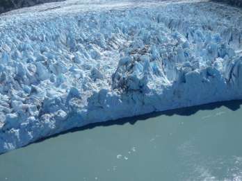 Ab Anchorage: Gletscher- und Wildtier-Entdeckungstour