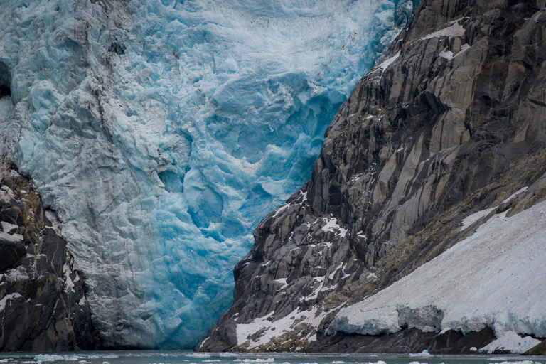 Anchorage: Glacier & Wildlife Discovery Tour (7-hours)