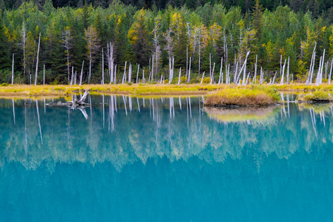 Anchorage: Glacier & Wildlife Discovery Tour (7-hours)