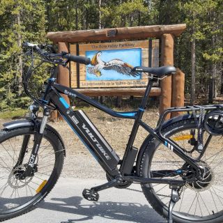 Banff: 4-Hour E-Bike and Walking Tour in Johnston Canyon