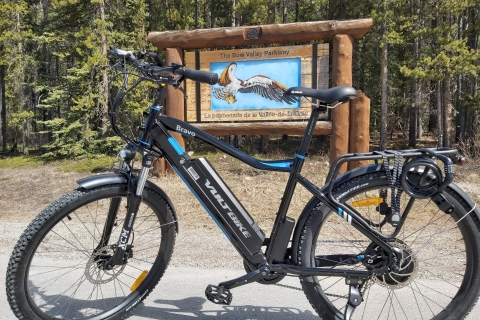 Banff: recorrido a pie y en bicicleta eléctrica de 4 horas en Johnston Canyon