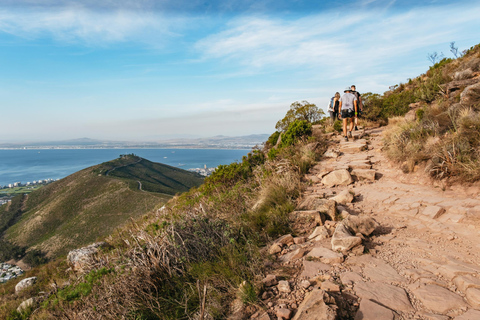 Cape Town: Lion's Head Sunrise or Sunset Hike