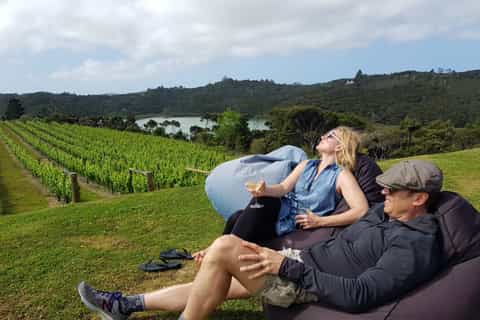 Bay of Islands: 4-Hour Private Wineries Tour