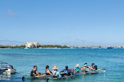 Turks e Caicos: Ilhas Iguana e passeio ecológico pelos manguezais