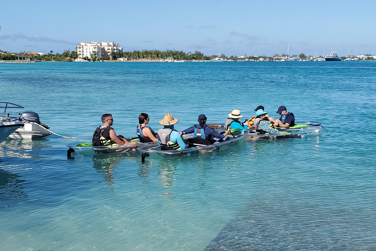 Turks e Caicos: Ilhas Iguana e passeio ecológico pelos manguezais