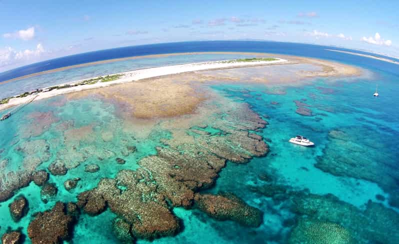 Naha Okinawa Excursion d une demi journée de plongée en apnée dans