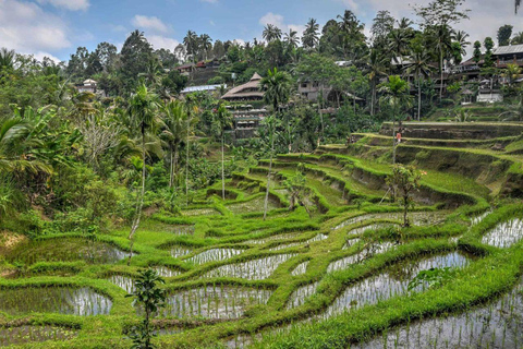 East Bali Group tour: Gate of Heaven, Tirta Gangga & Ubud