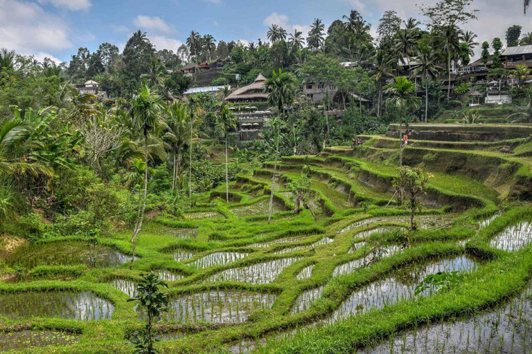 East Bali Group tour: Gate of Heaven, Tirta Gangga & Ubud