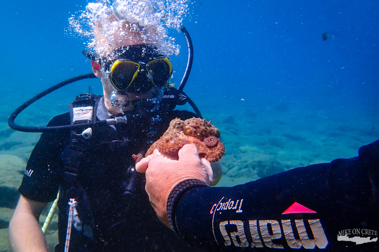 Heraklion: Scuba Diving Experience for First-TimersHeraklion: Scuba Diving for First-Timers, No Pickup