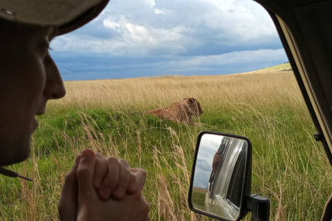 Nairobi-Nationalpark: Safari-TourPrivate halbtägige Safari-Tour im Jeep mit offenen Seiten