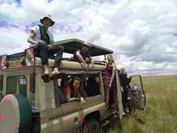 ナイロビ国立公園の半日ゲームドライブ - Housity