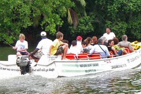 Aventure dans la mangrove à Bentota