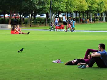 Dallas: Geführter Rundgang zu den Highlights der Stadt Dallas: Geführter Rundgang zu den Highlights der Stadt