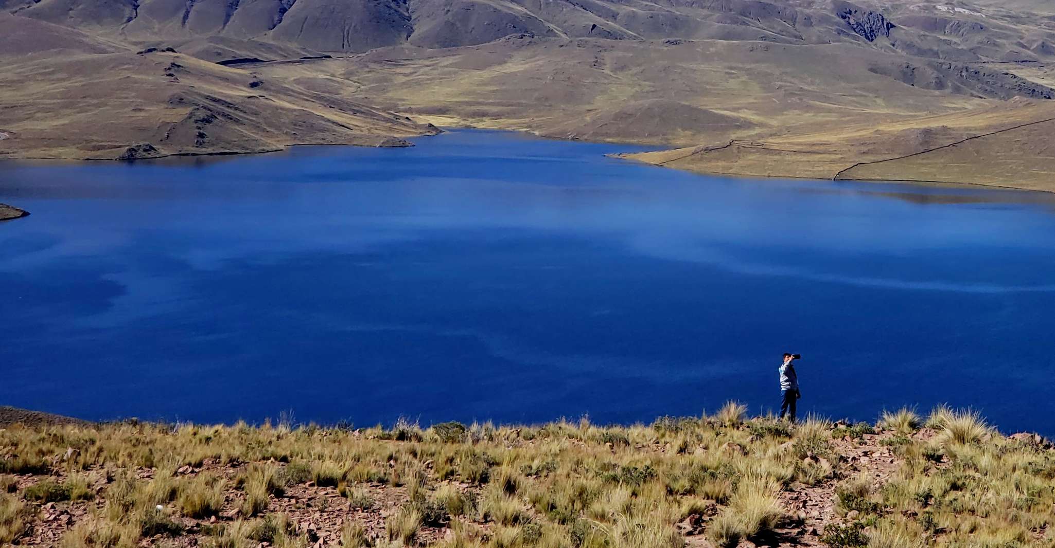 From Puno, 2-Day Colca Canyon Tour to Arequipa - Housity