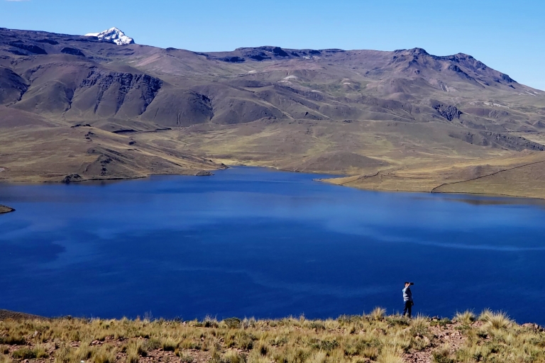 Puno: 2-daagse Colca Canyon Tour naar ArequipaTour met ingang en maaltijden