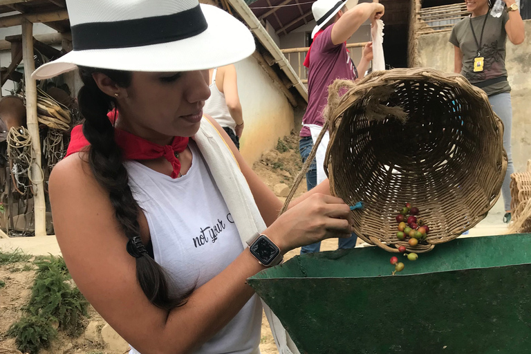 Medellín: Guatape Village con tour di degustazione di caffè e frutta