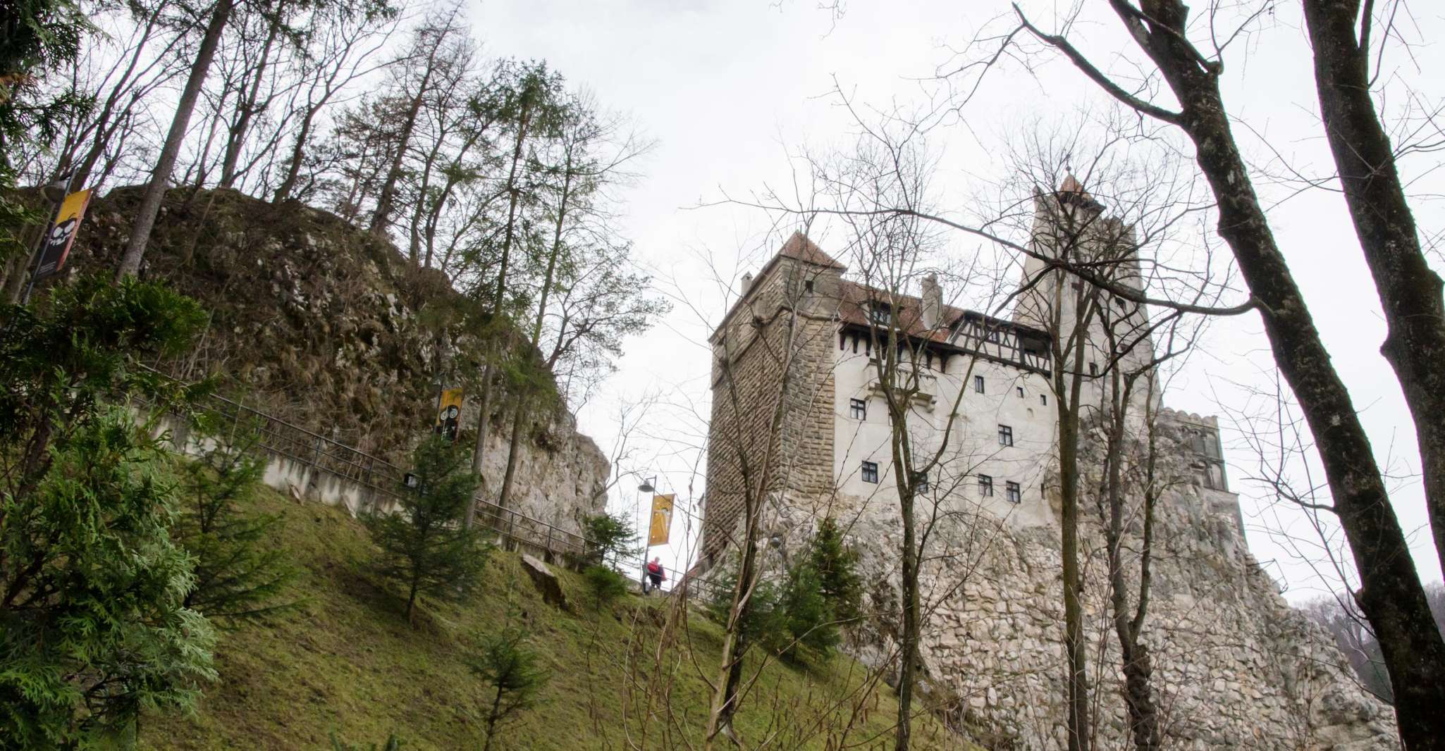 Day trip Bran Castle, Rasnov Fortress and Bear Sanctuary - Housity