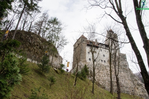 Excursión de un día al Castillo de Bran, la Fortaleza de Rasnov y el Santuario de los Osos