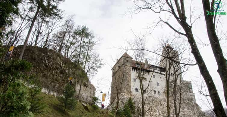 Day trip Bran Castle, Rasnov Fortress and Bear Sanctuary | GetYourGuide