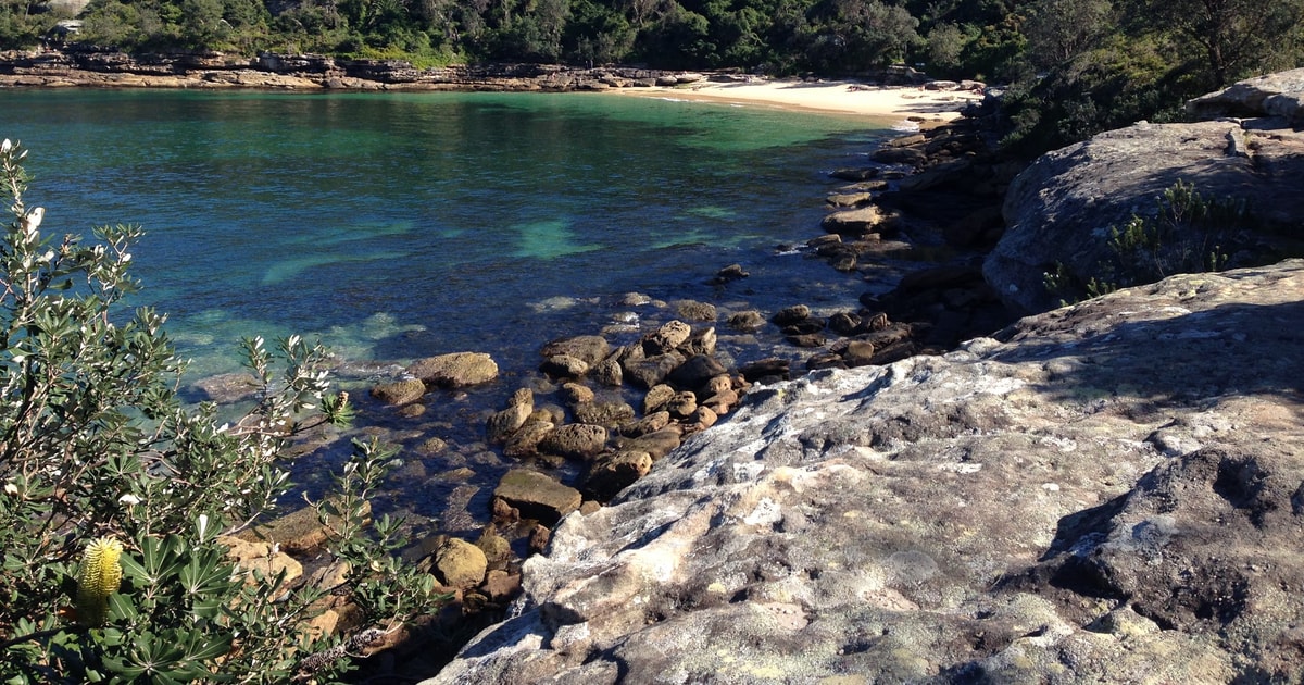 Sydney Harbour National Park 2-Hour Walking Tour | GetYourGuide