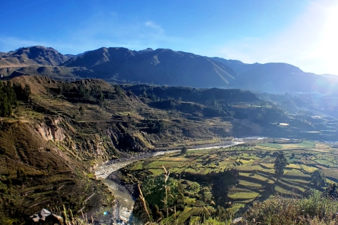Arequipa: tour de un día al cañón del Colca hasta PunoTour con entrada y comidas