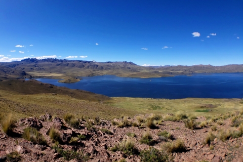 Arequipa: tour de un día al cañón del Colca hasta PunoTour con entrada y comidas
