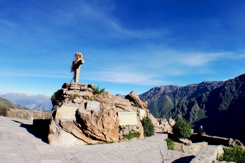Arequipa: Colca Canyon Day Tour naar PunoTour met ingang en maaltijden