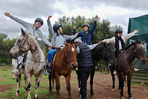 Jozi: Guided Horseback Safari Through African Wildlife