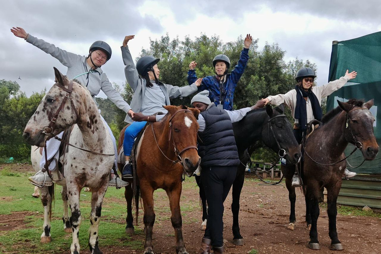 Jozi: Guided Horseback Safari Through African Wildlife