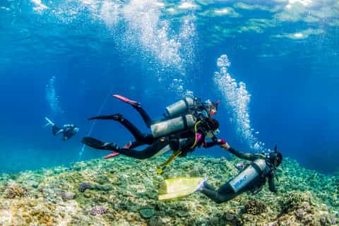 Naha: Half-Day Introductory Diving Trip to the Keramas