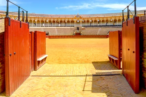 Sevilha: Visita guiada à Plaza de Toros e ao Museu em espanhol