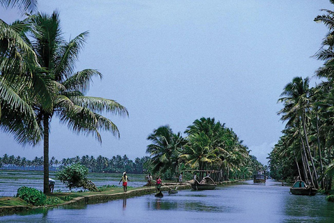 Exclusive, Backwater of Kerala &amp; Houseboat Tour (06 Dias)