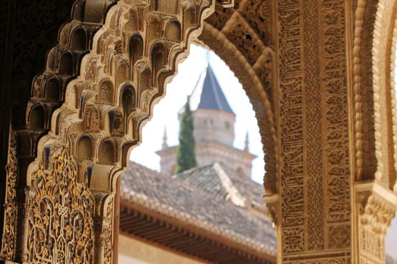 Malaga: gita di un giorno a Granada con Alhambra, palazzi e giardini