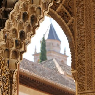 Malaga: Dagtrip naar Granada met Alhambra, paleizen en tuinen